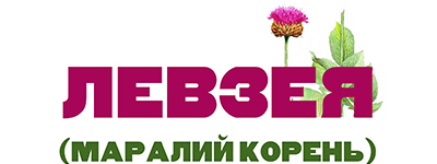 Левзея (маралий корень)